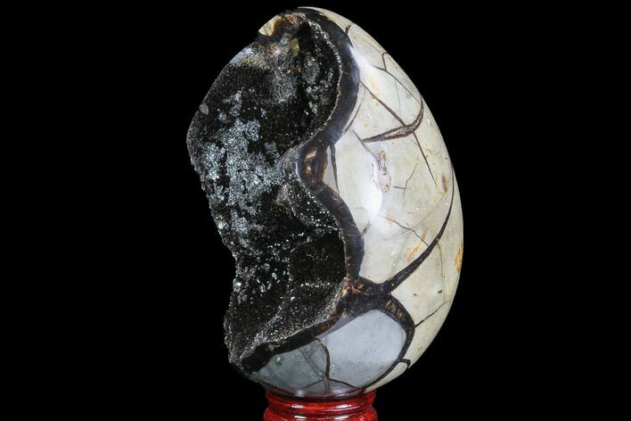 Septarian Dragon Egg Geode - Black Crystals #88523